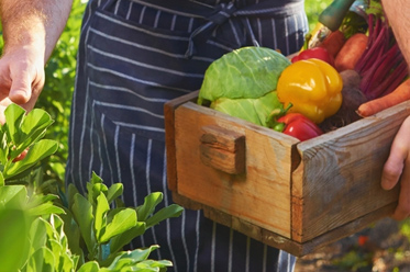 eko korpice ekodizajn nesto vise mostar