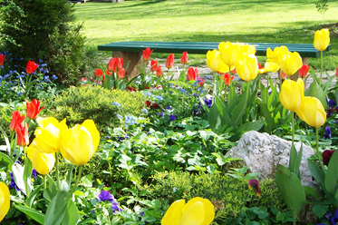 uredjenje parka ekodizajn doo mostar