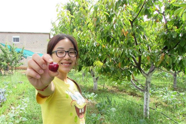 eko voce ekodizajn.ba